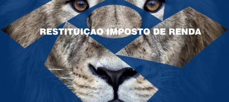 Imposto de Renda 2021: Restituição, Lotes, Consulta